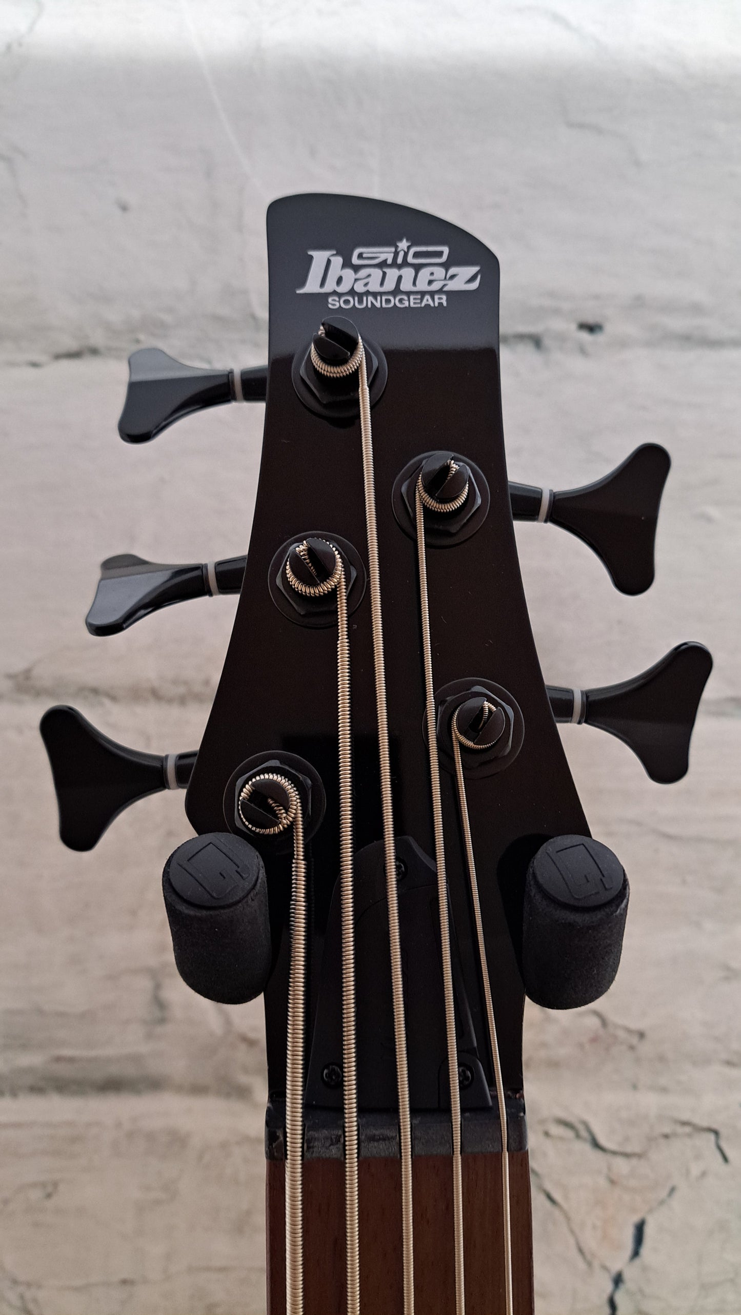 Ibanez Gio GSR205B 5-string Bass Guitar - Walnut Flat