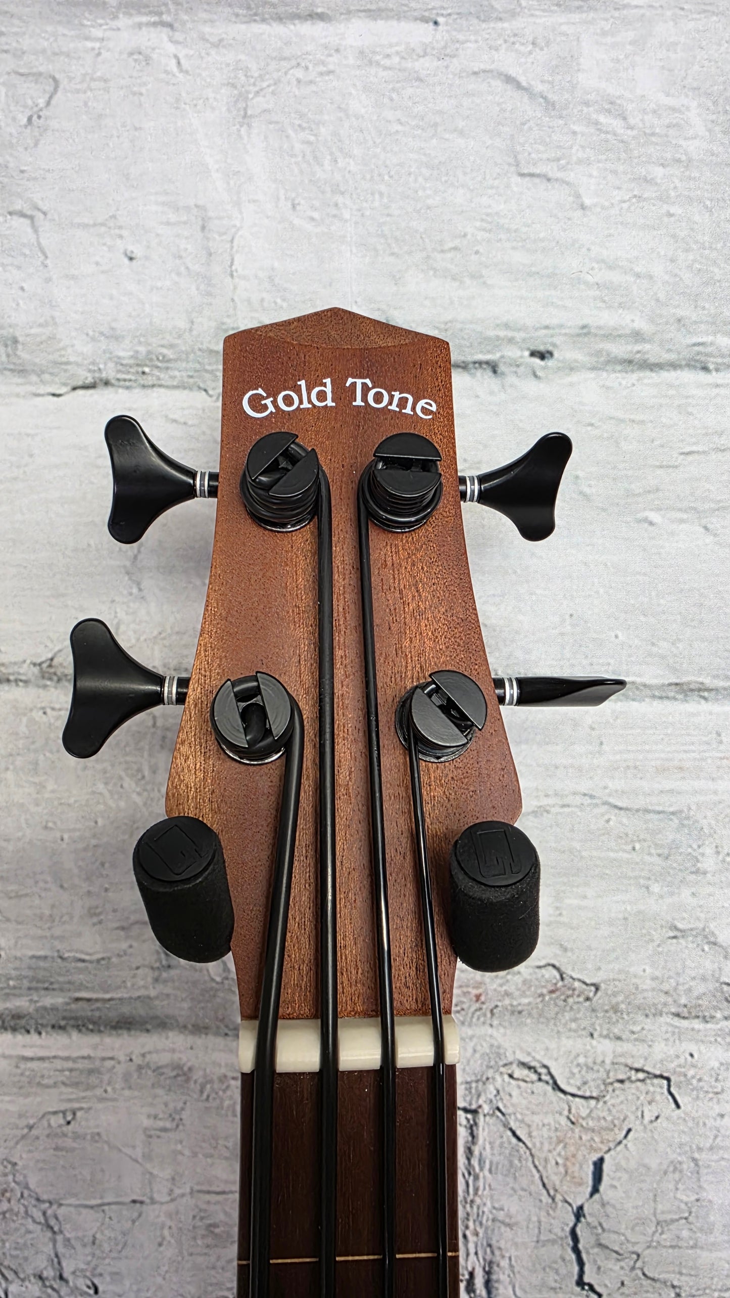 Gold Tone M-Bass25FL 25-inch Scale Fretless Acoustic-Electric MicroBass - Natural