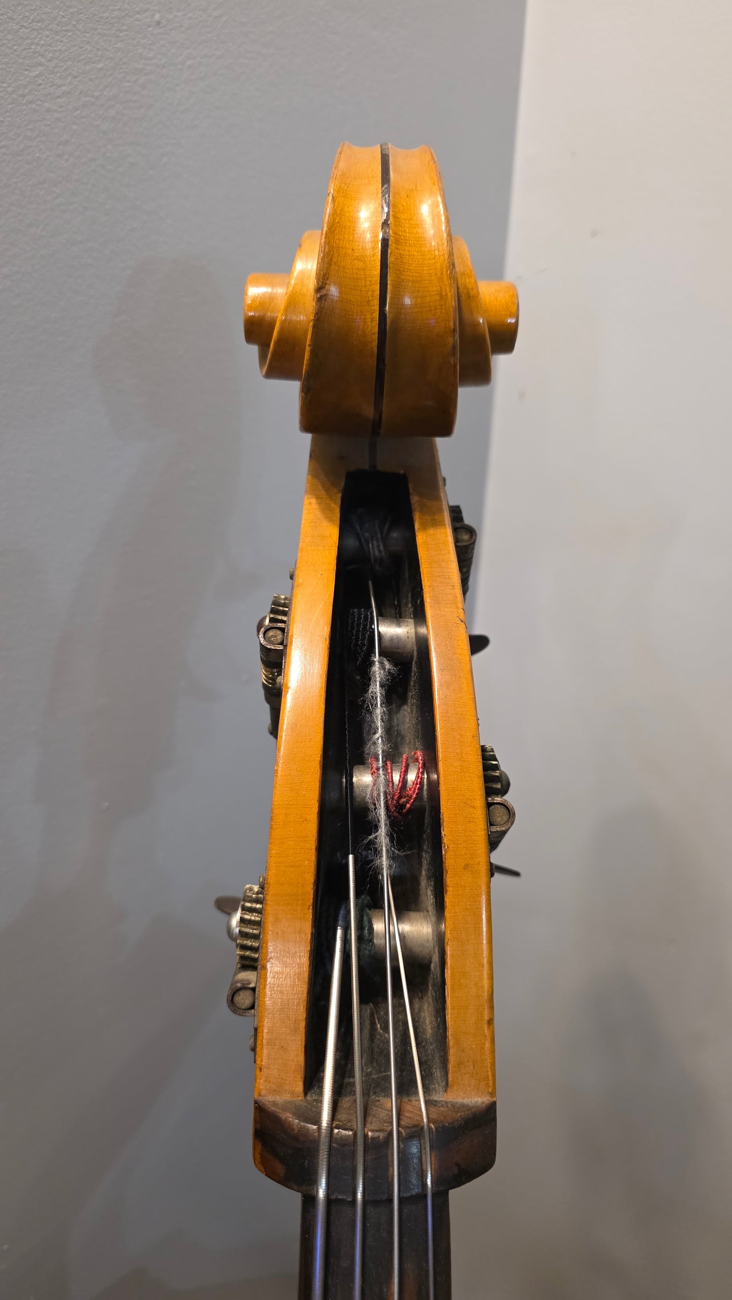 Gibson B-135 Upright Bass - 1941