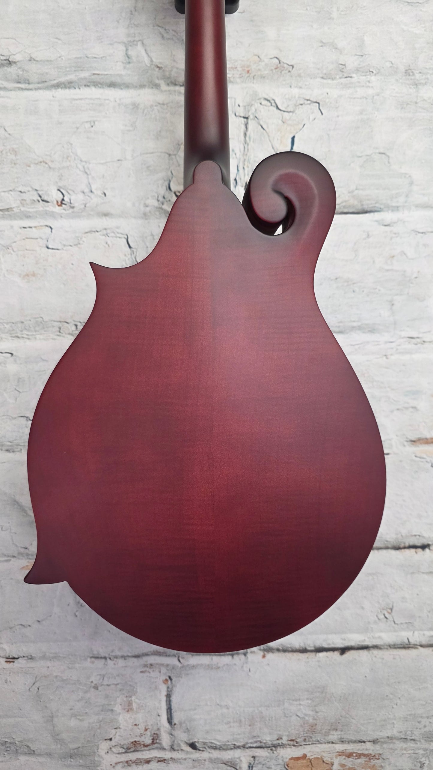 Epiphone F-5 Studio Acoustic Mandolin - Wine Red Satin