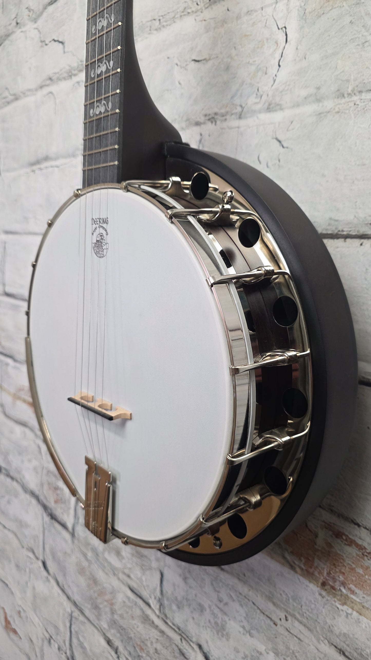 Deering Artisan Goodtime Special 5-String Banjo