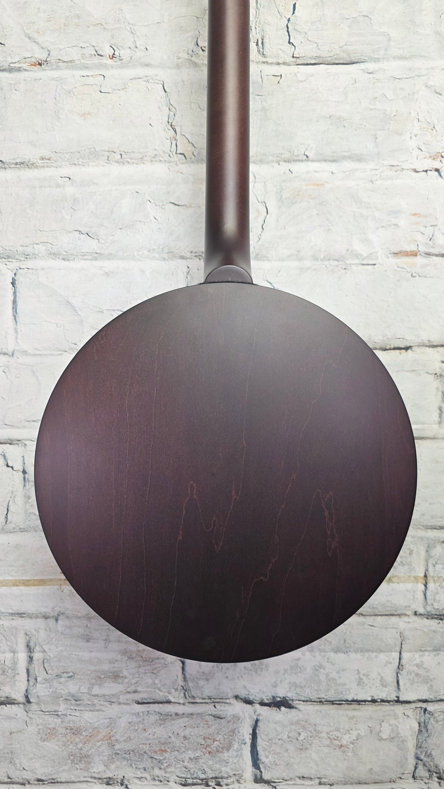 Deering Artisan Goodtime Special 5-String Banjo
