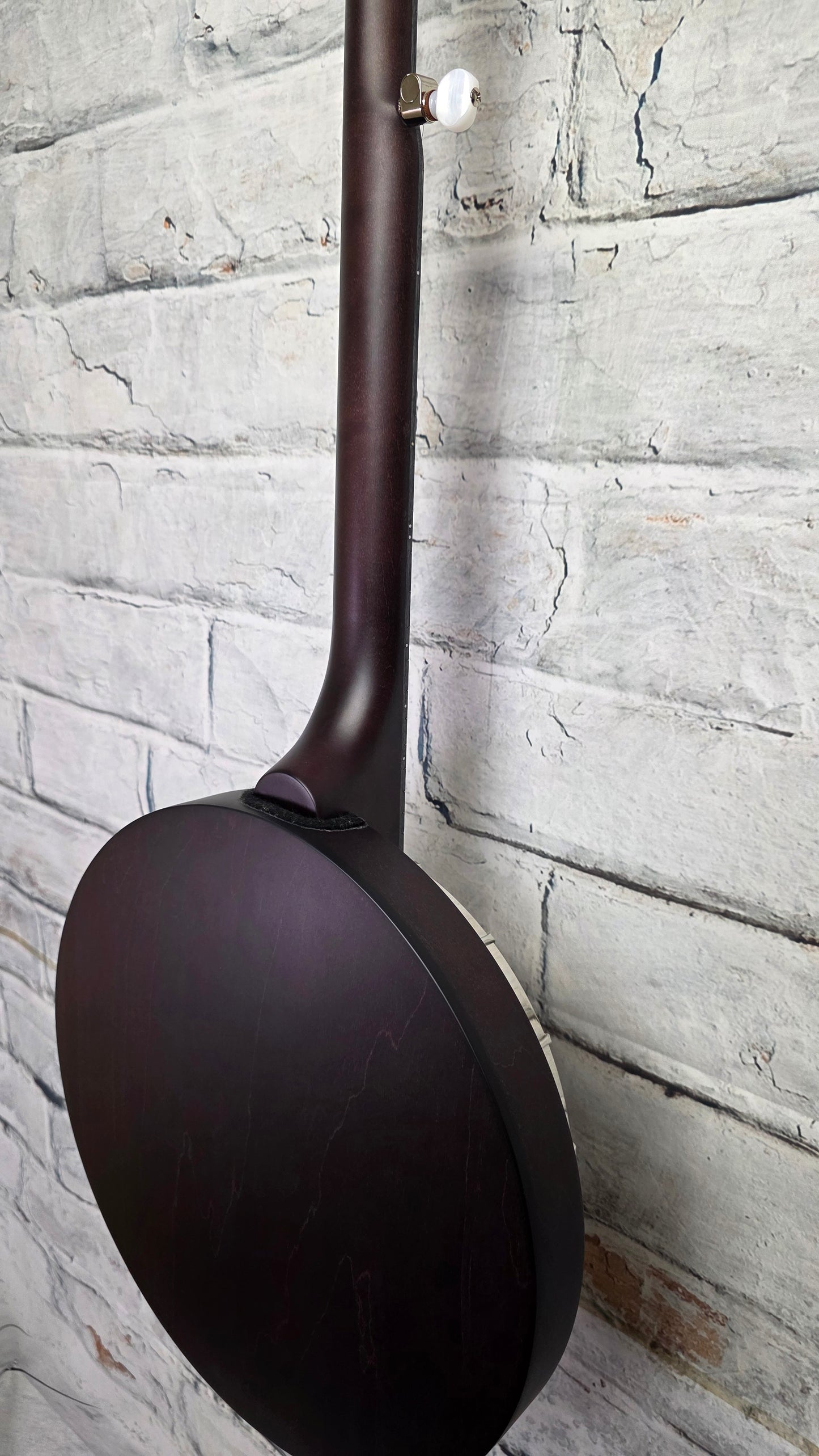 Deering Artisan Goodtime Special 5-String Banjo