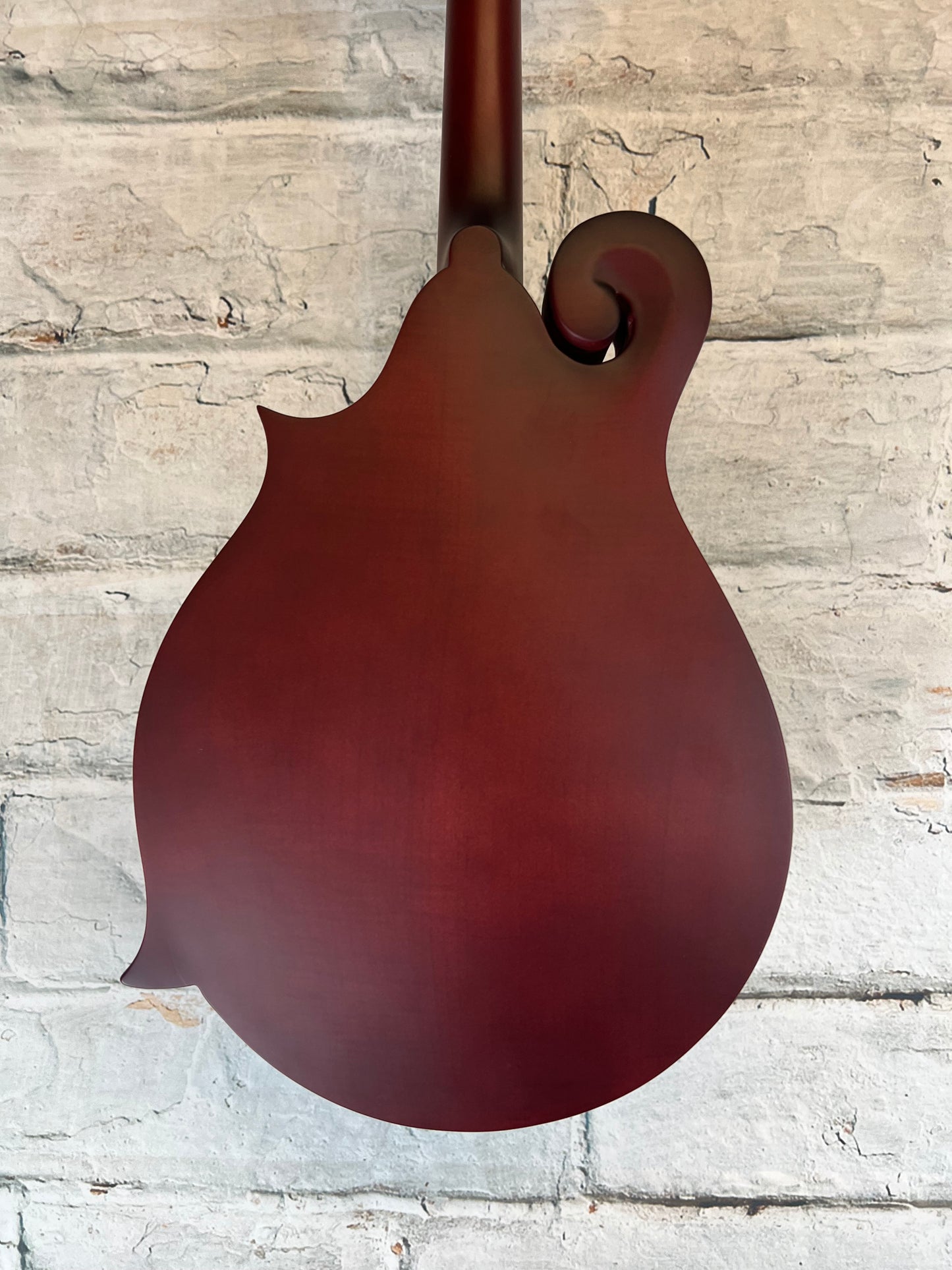 Epiphone F-5 Studio Mandolin with Premium Gig Bag