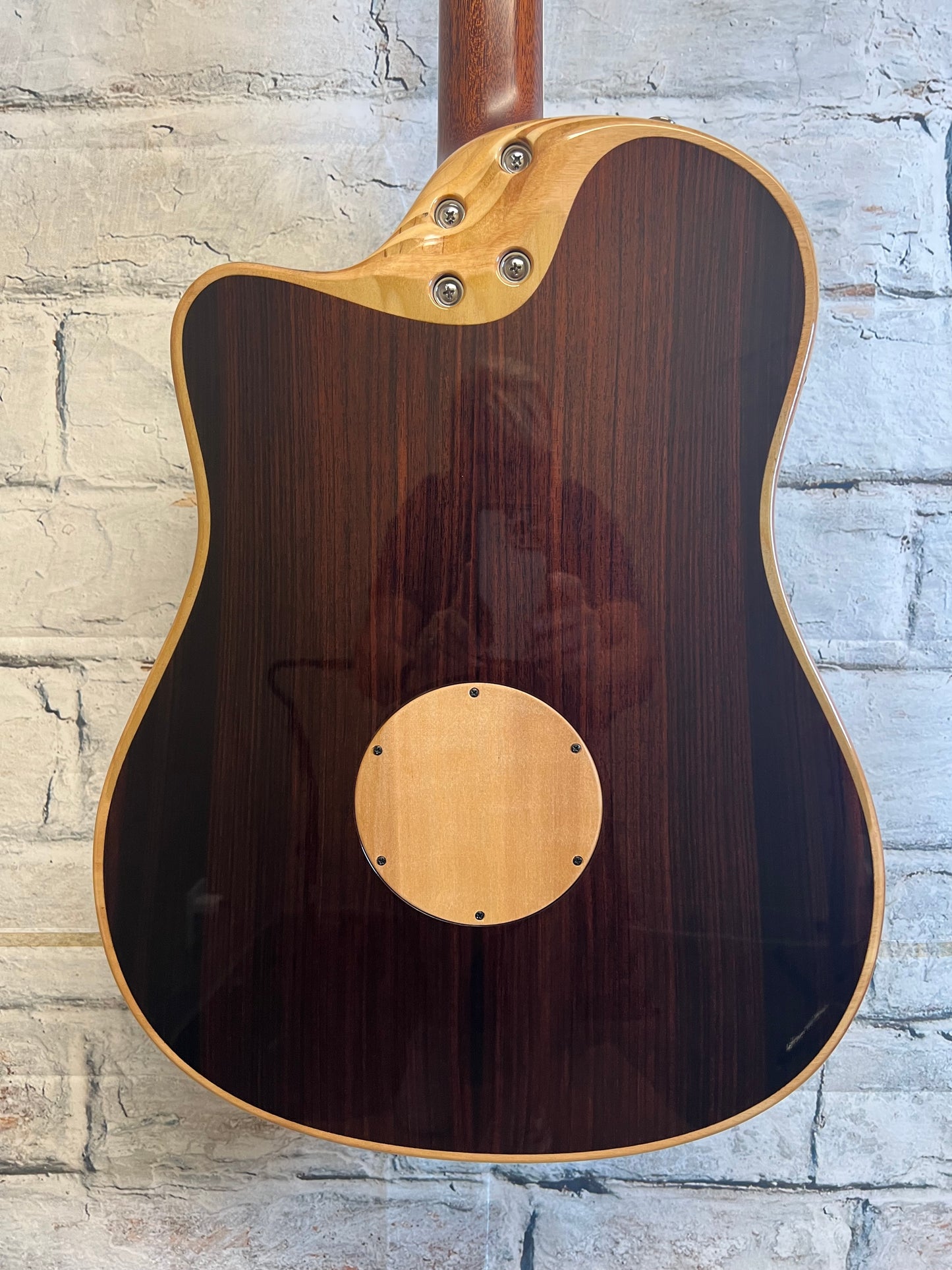 Used L.R. Baggs AEG-1 Acoustic-Electric Guitar with Bag