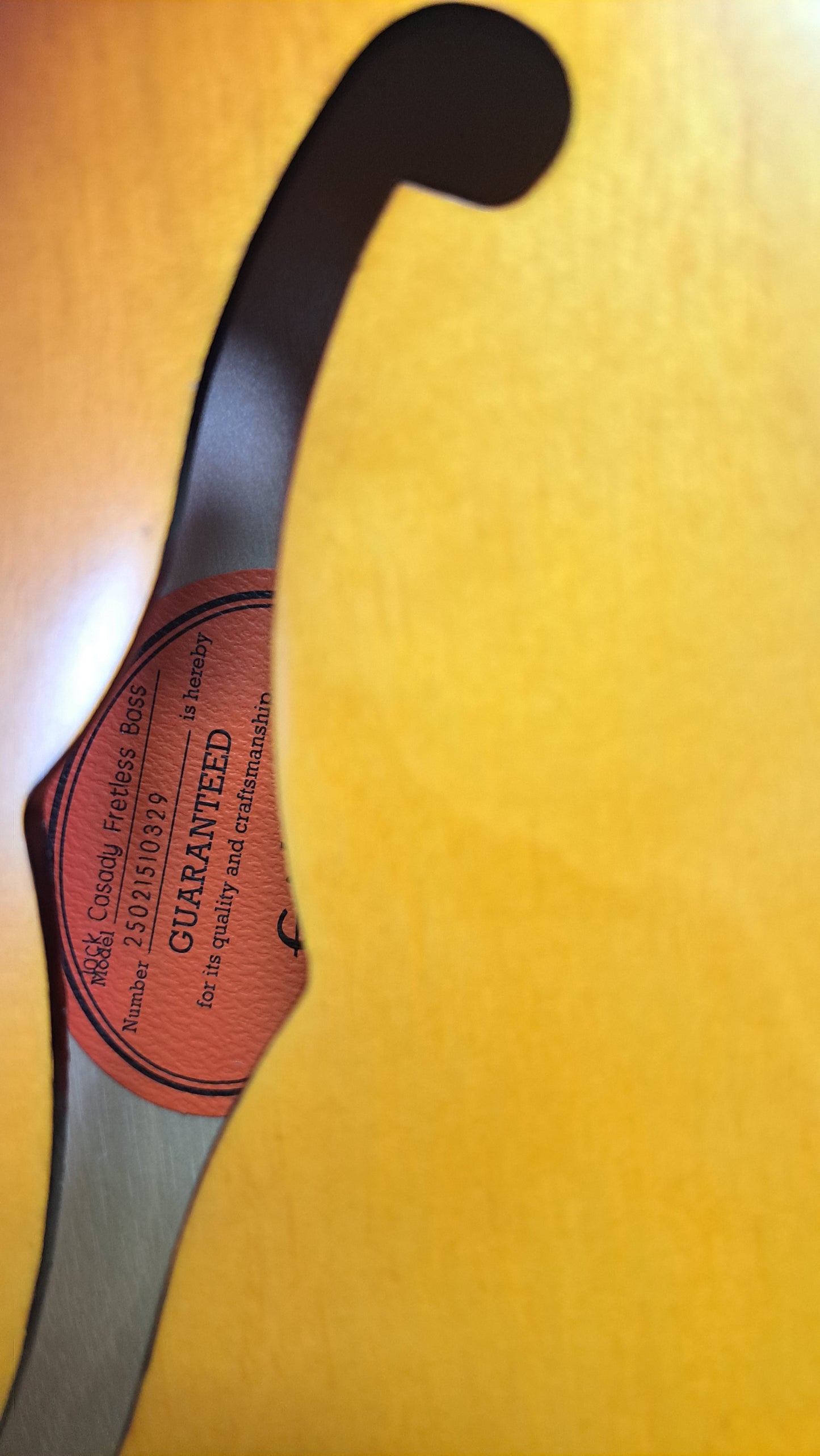 Epiphone Jack Casady Fretless Bass - Aged Royal Tan