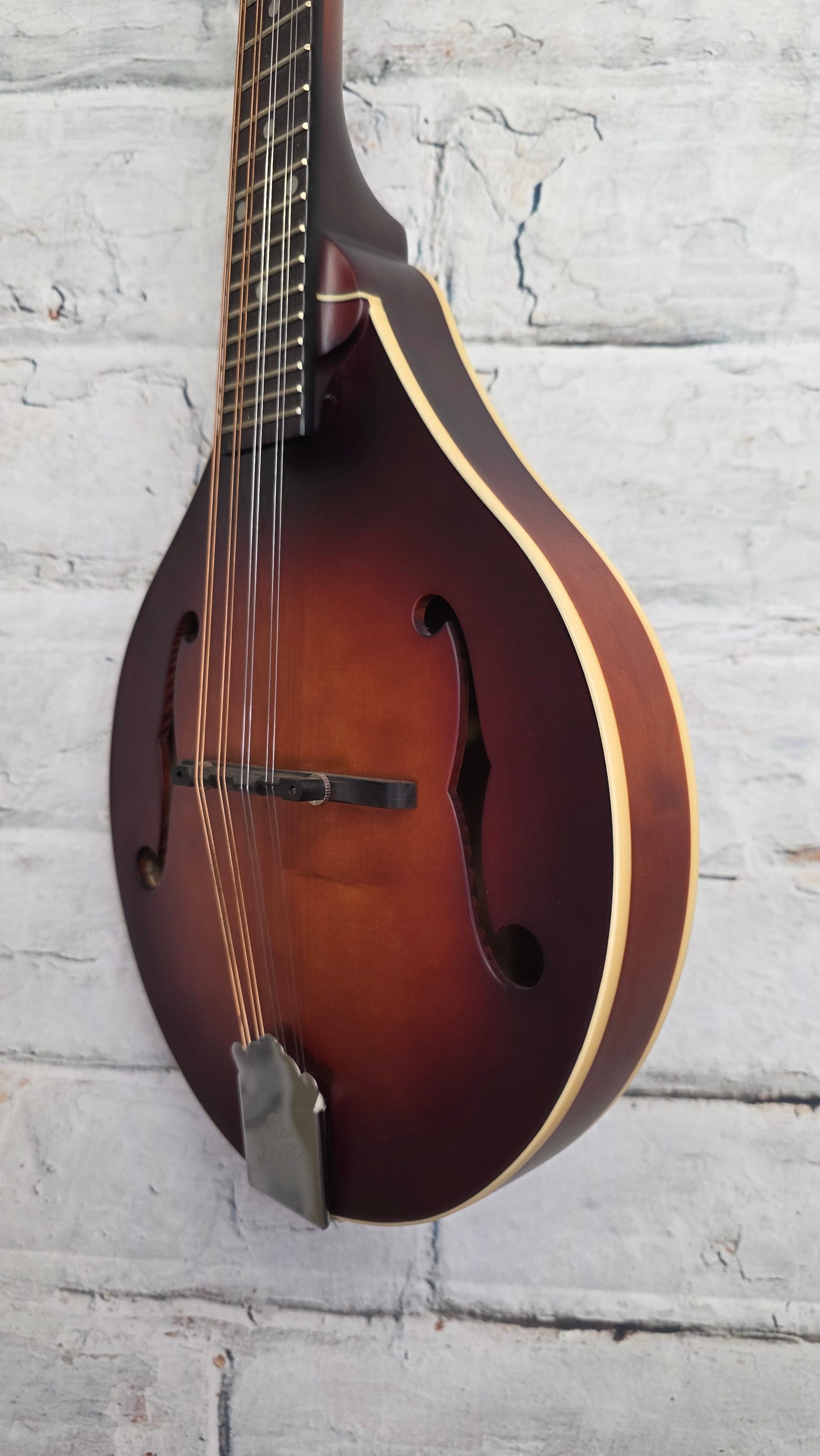 The Loar LM-110-BRB Honey Creek A-style Mandolin