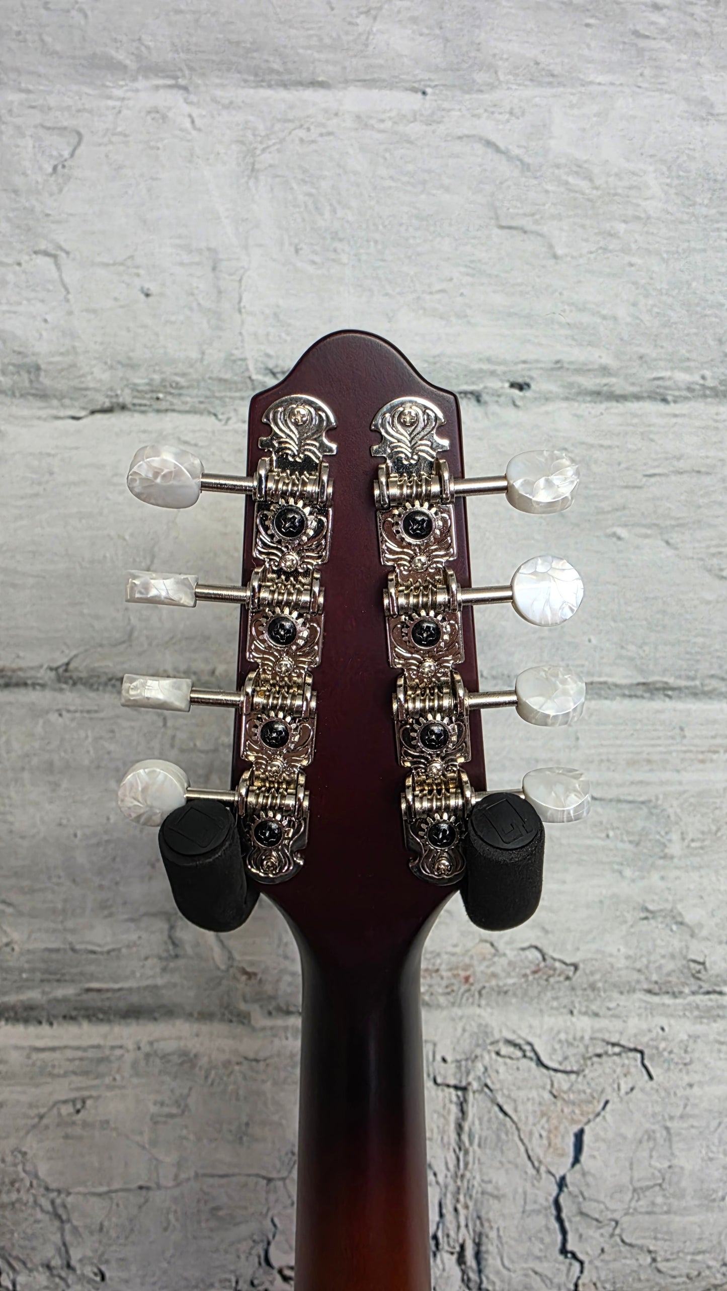 The Loar LM-110-BRB Honey Creek A-style Mandolin