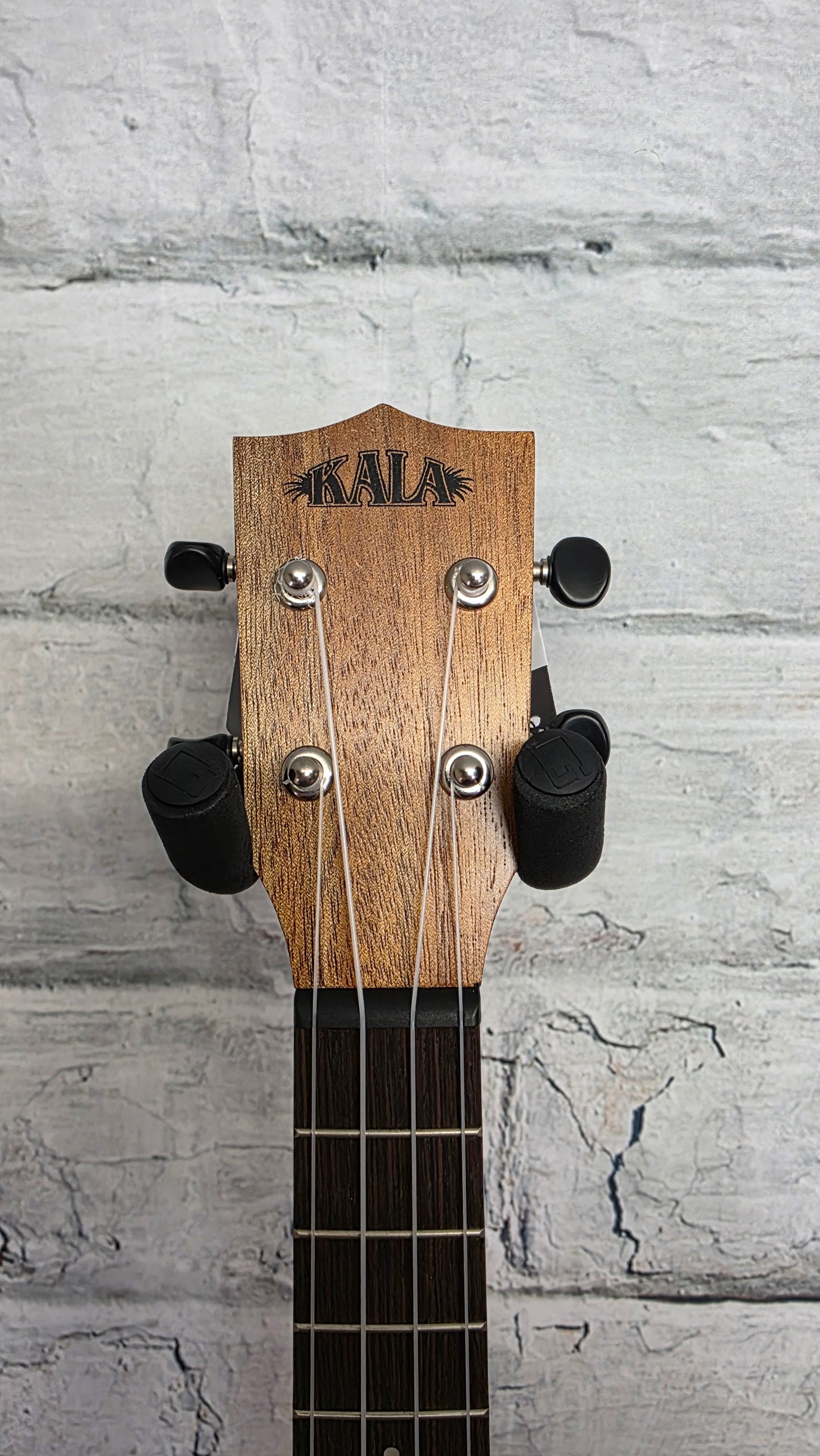 Kala Learn to Play Ukulele Concert Starter Kit