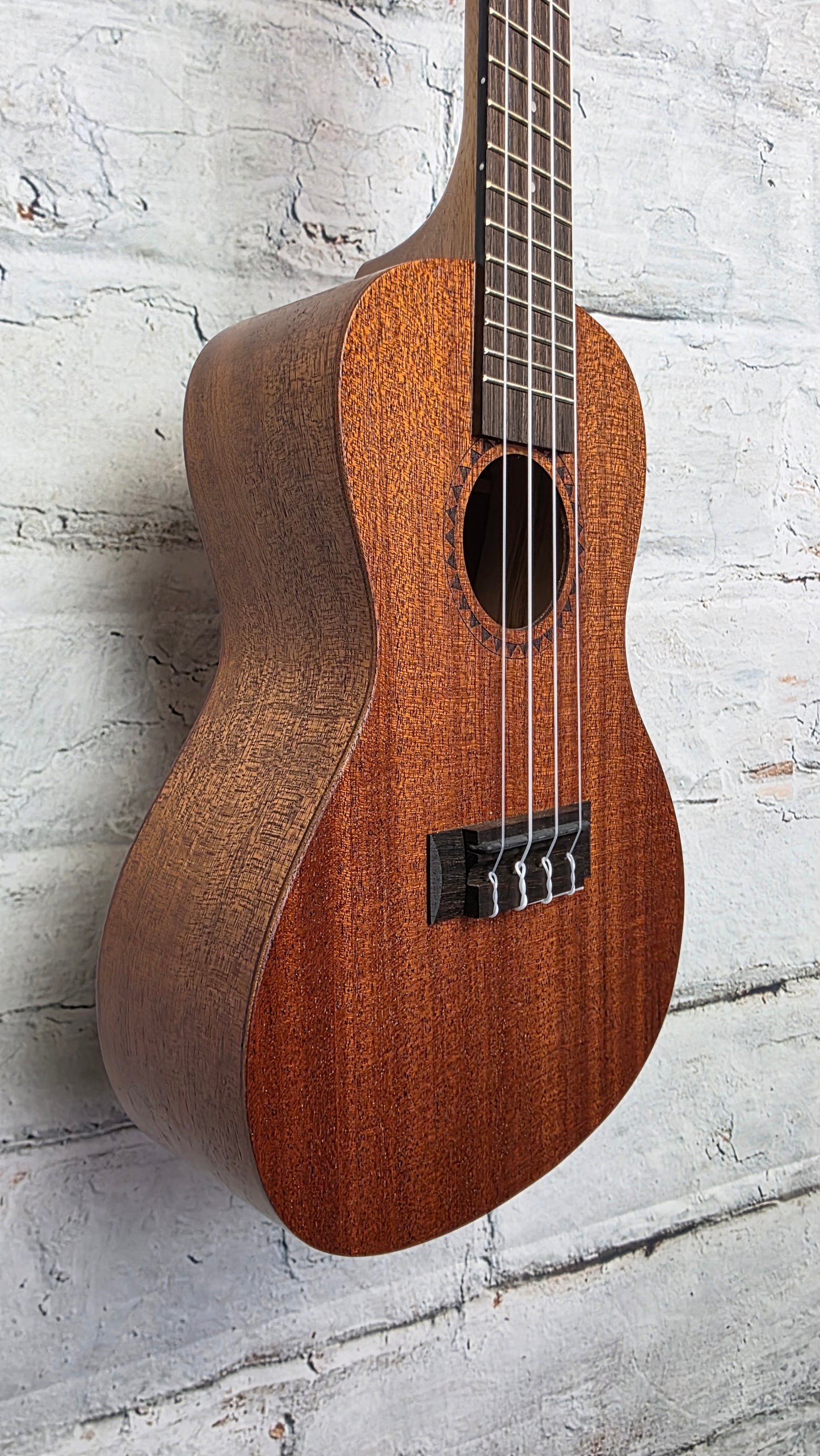 Kala Learn to Play Ukulele Concert Starter Kit