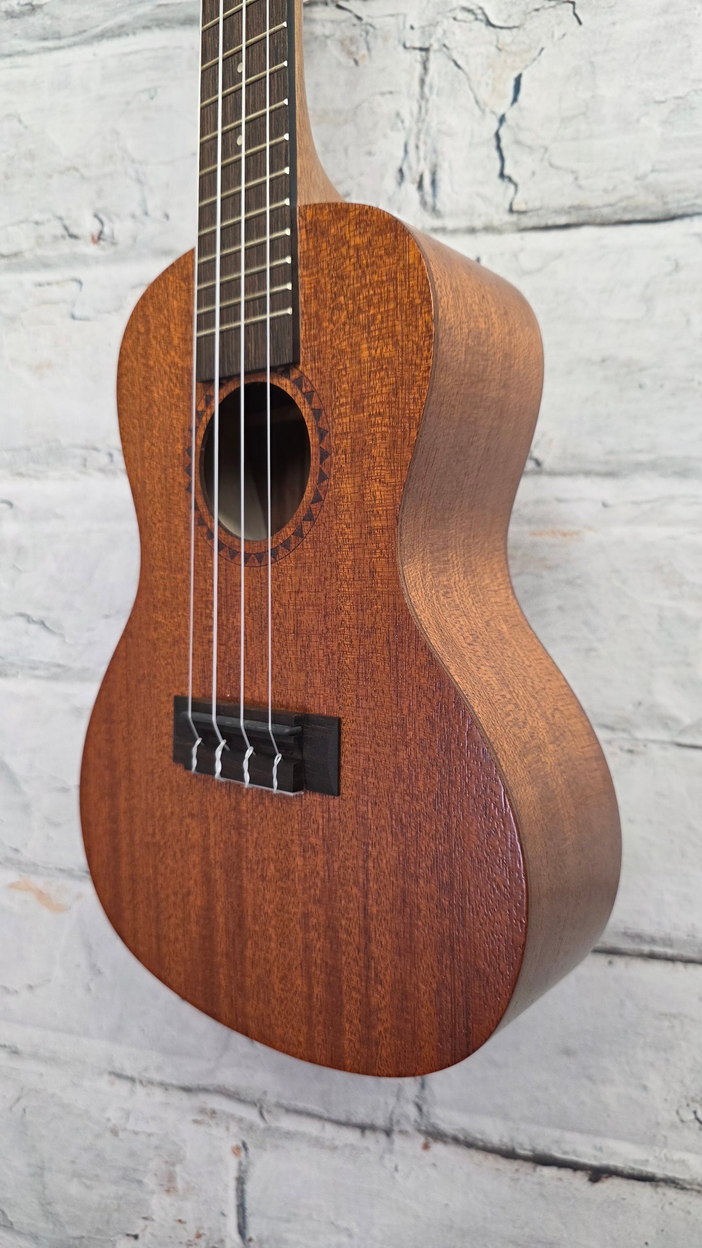 Kala Learn to Play Ukulele Concert Starter Kit