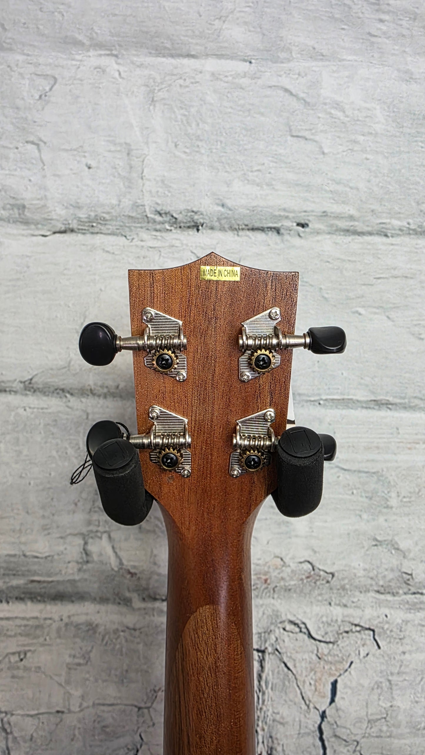 Kala Learn to Play Ukulele Concert Starter Kit