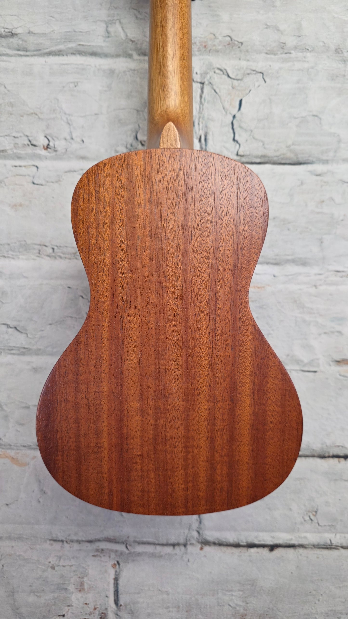 Kala Learn to Play Ukulele Concert Starter Kit