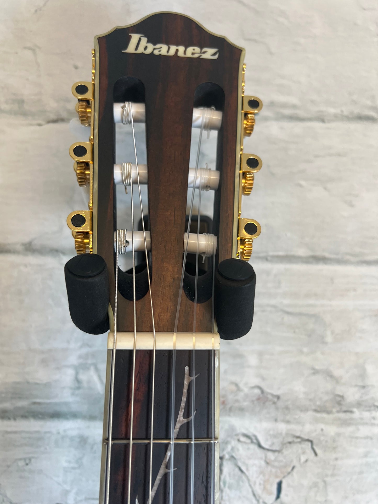 Ibanez TOD10N Tim Henson Signature Nylon String Acoustic