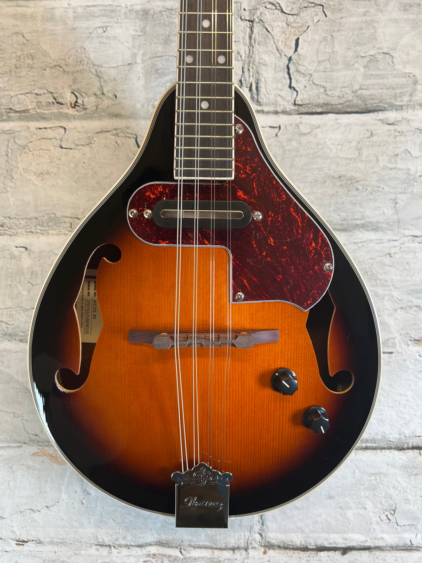 Ibanez M510E Acoustic-electric Mandolin-Brown Sunburst