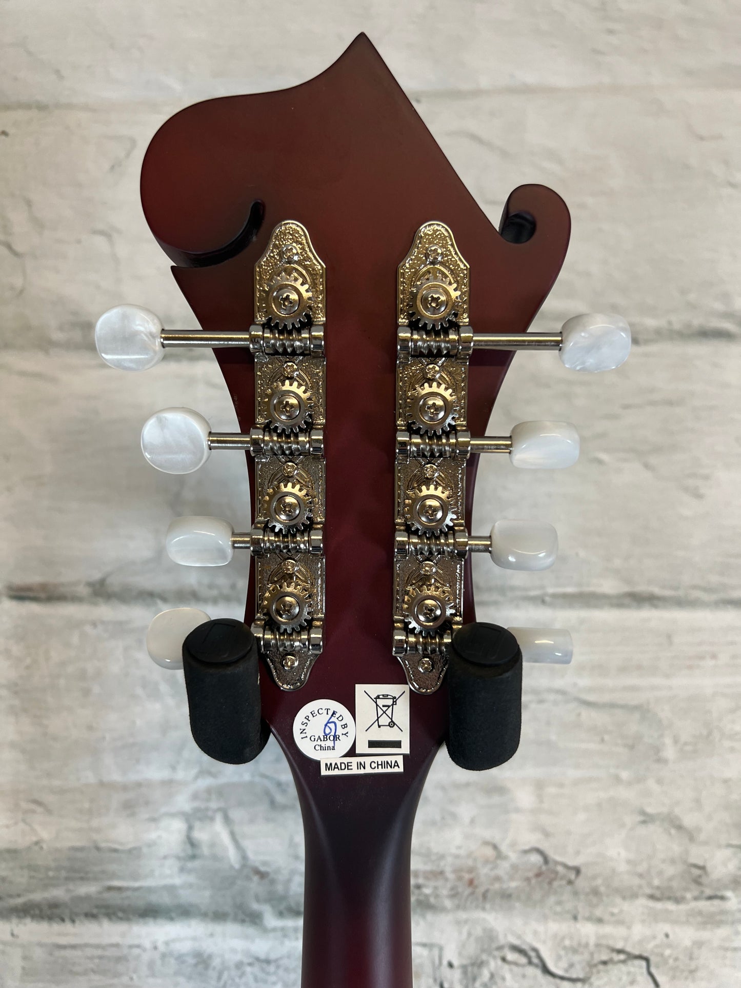 Epiphone F-5 Studio Mandolin Vine Red-Premuim Gig bag