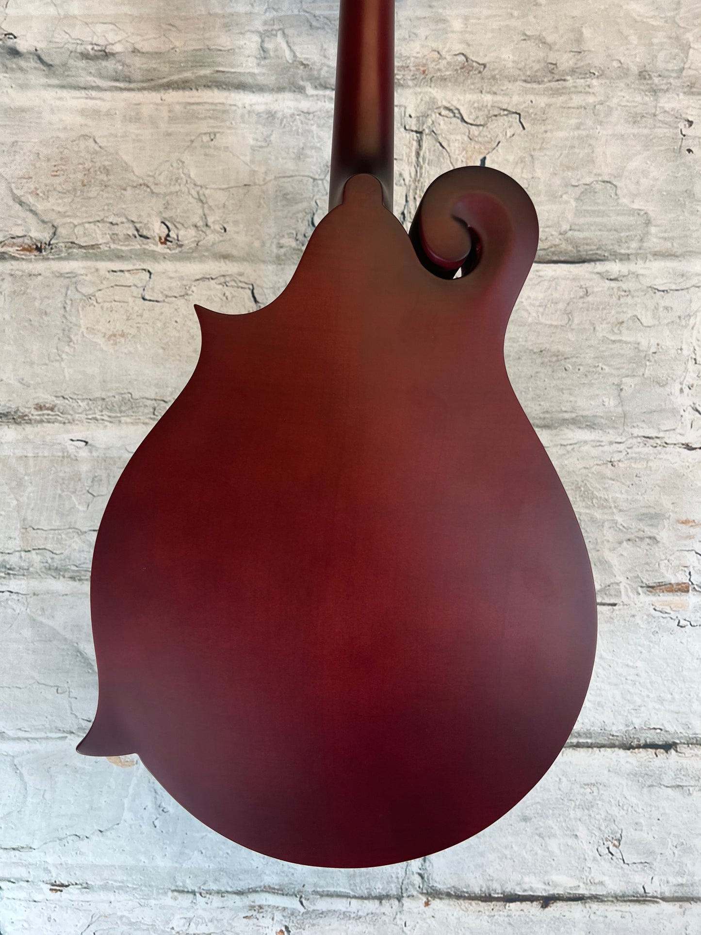 Epiphone F-5 Studio Mandolin Vine Red-Premuim Gig bag