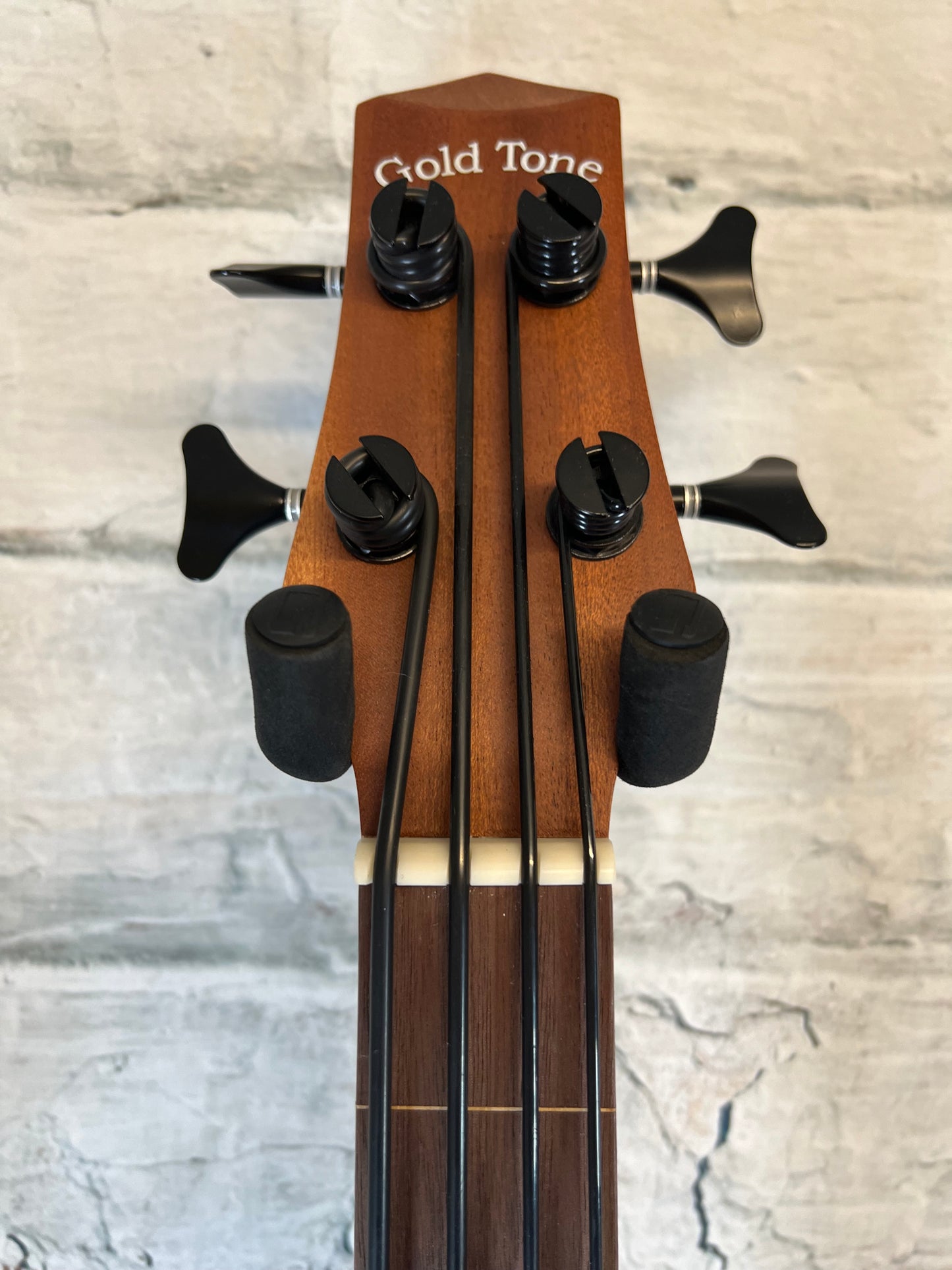 Gold Tone M-Bass 25FL 25”scale Fretless with Bag