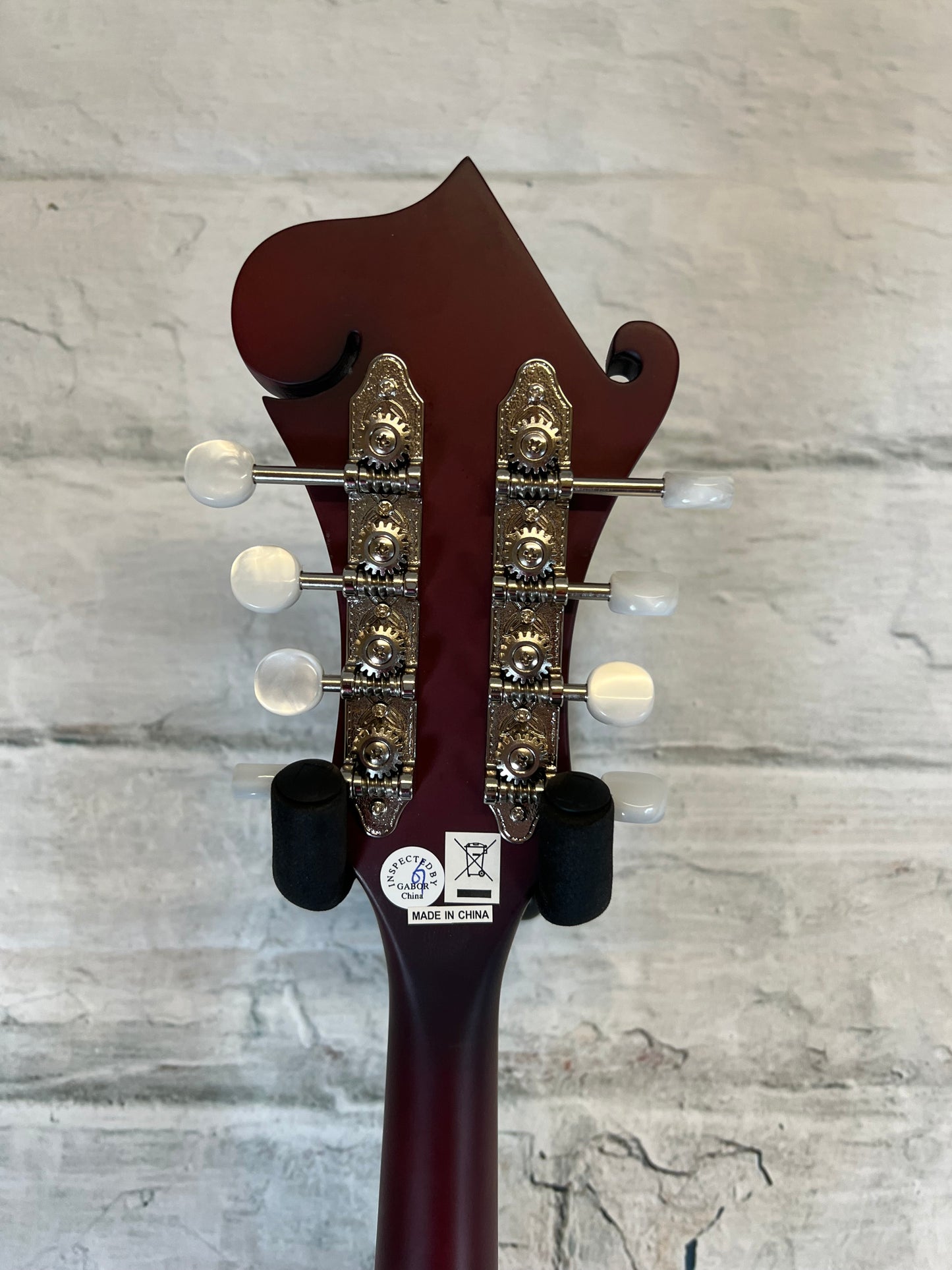 Epiphone F-5 Studio Mandolin with Premium Gig Bag