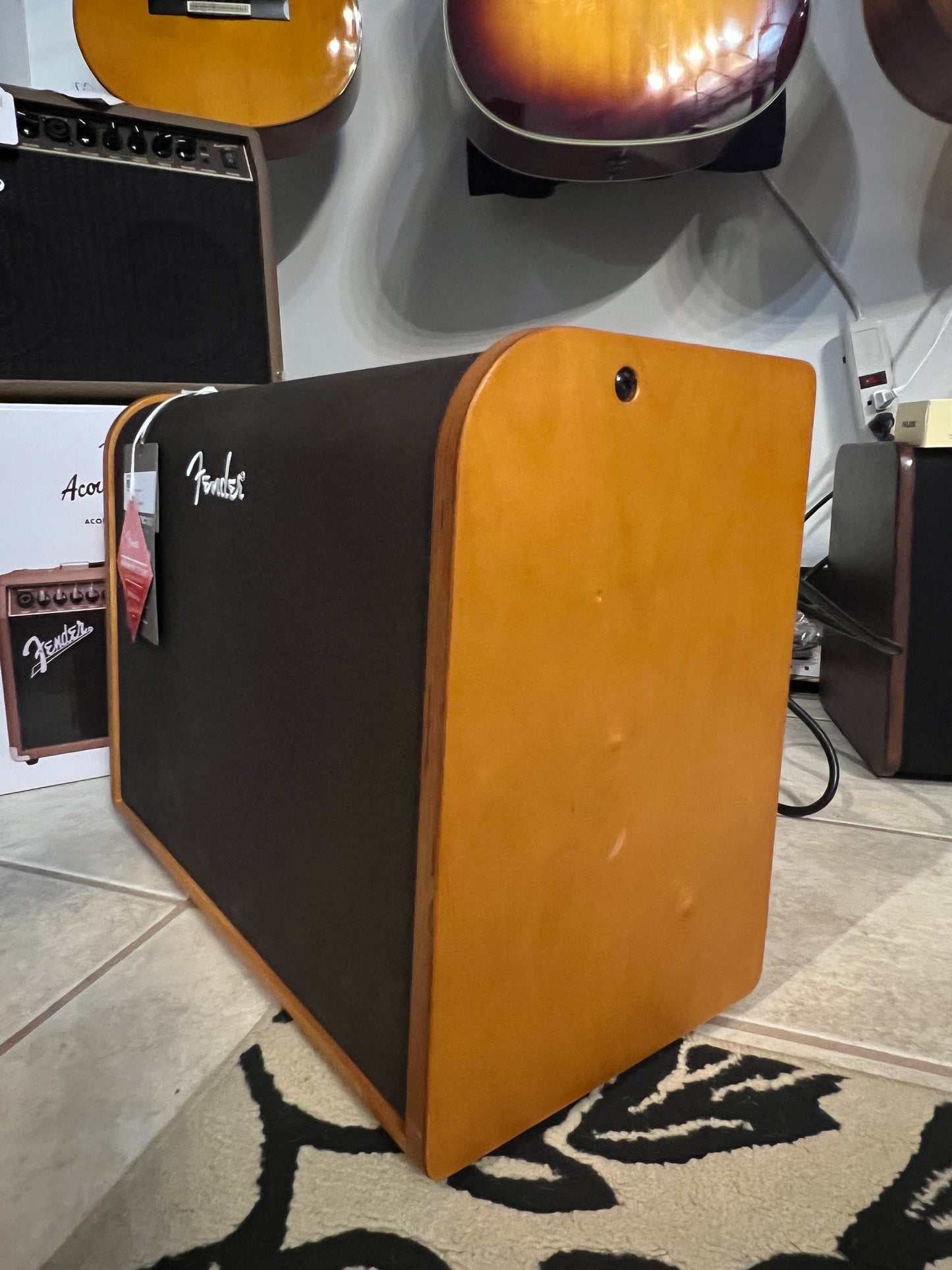 Fender Acoustic 100 Guitar Amp