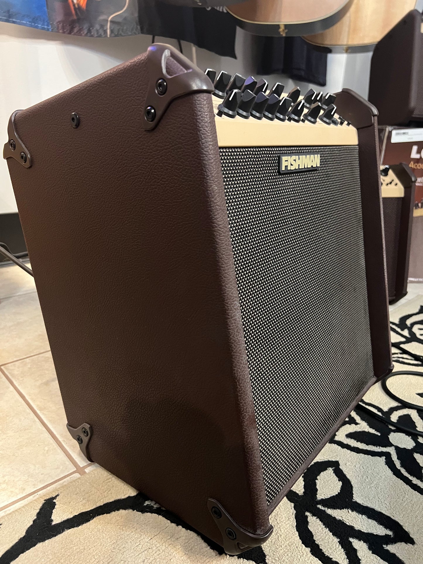 Fishman Loudbox Performer Acoustic Guitar Amp