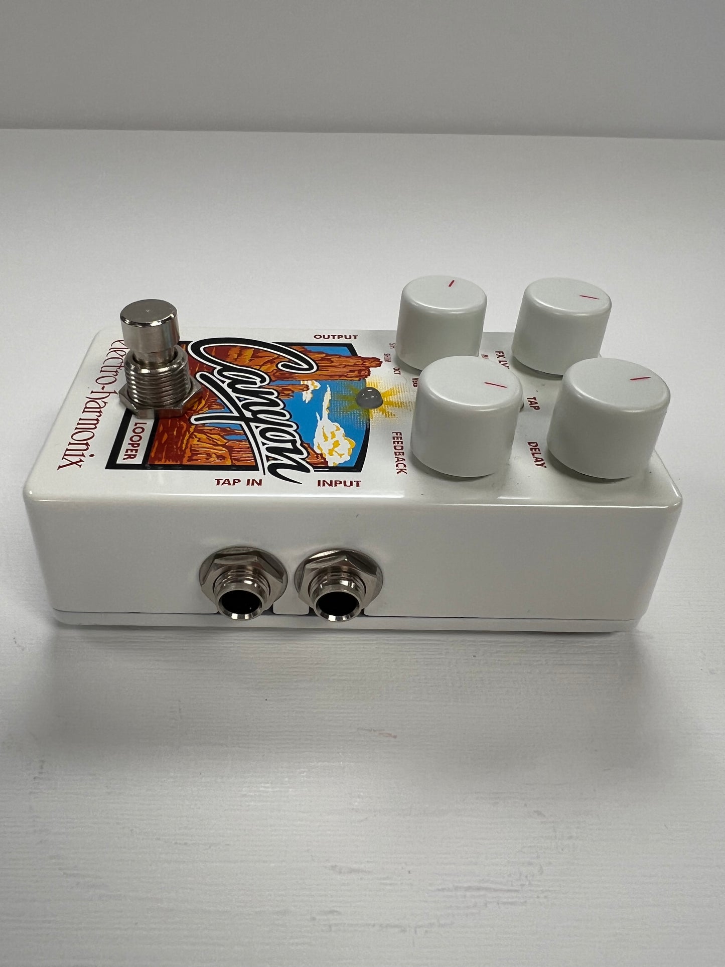 Electro Harmonix Canyon Delay and Looper