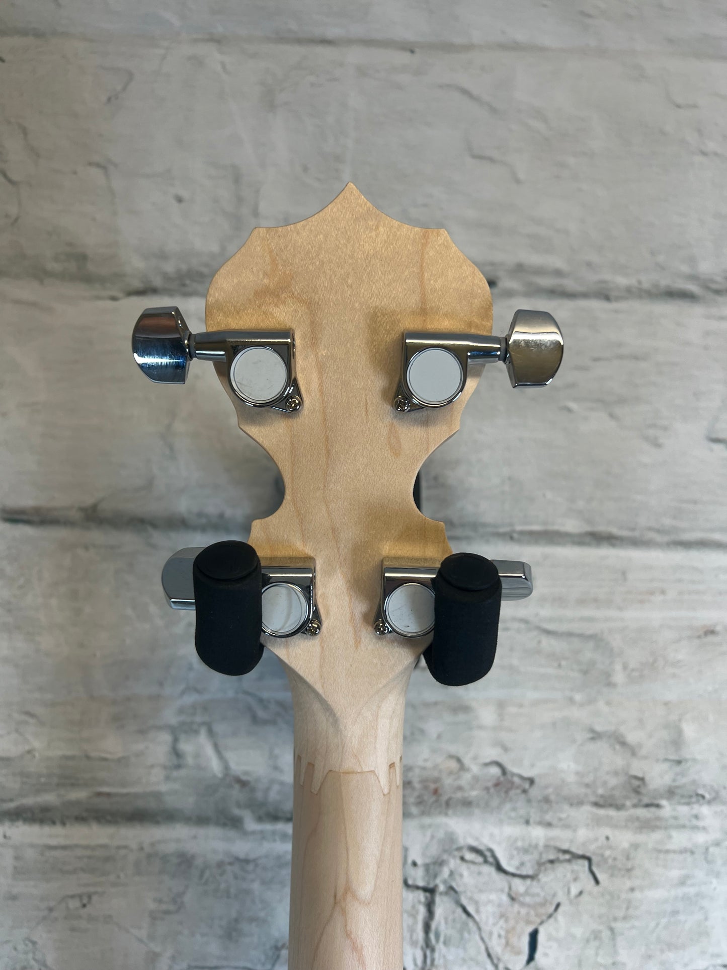 Deering Goodtime TwoNickel Banjo with Resonator