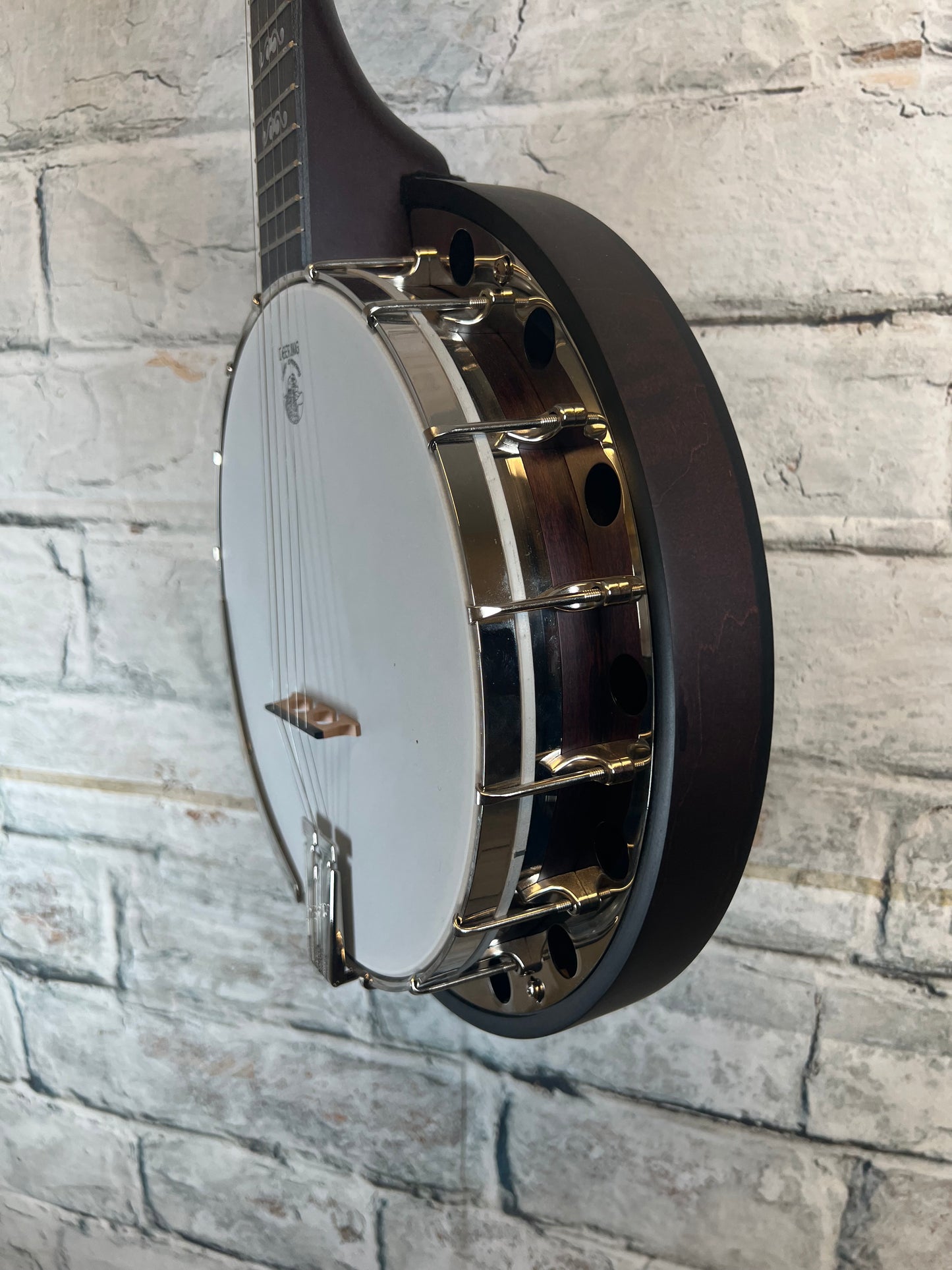 Deering Artisan Goodtime Special 5-String Banjo