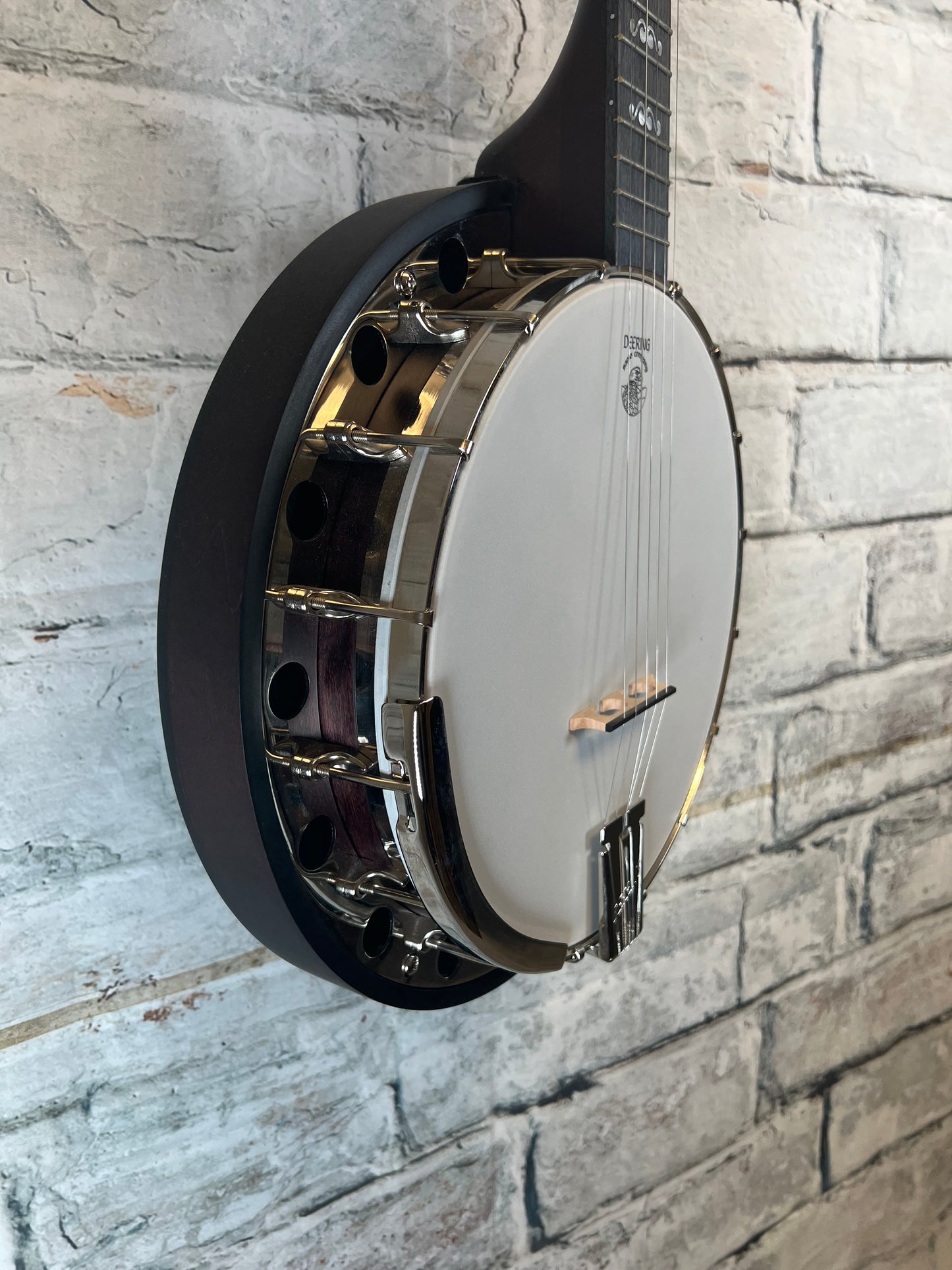 Deering Artisan Goodtime Special 5-String Banjo