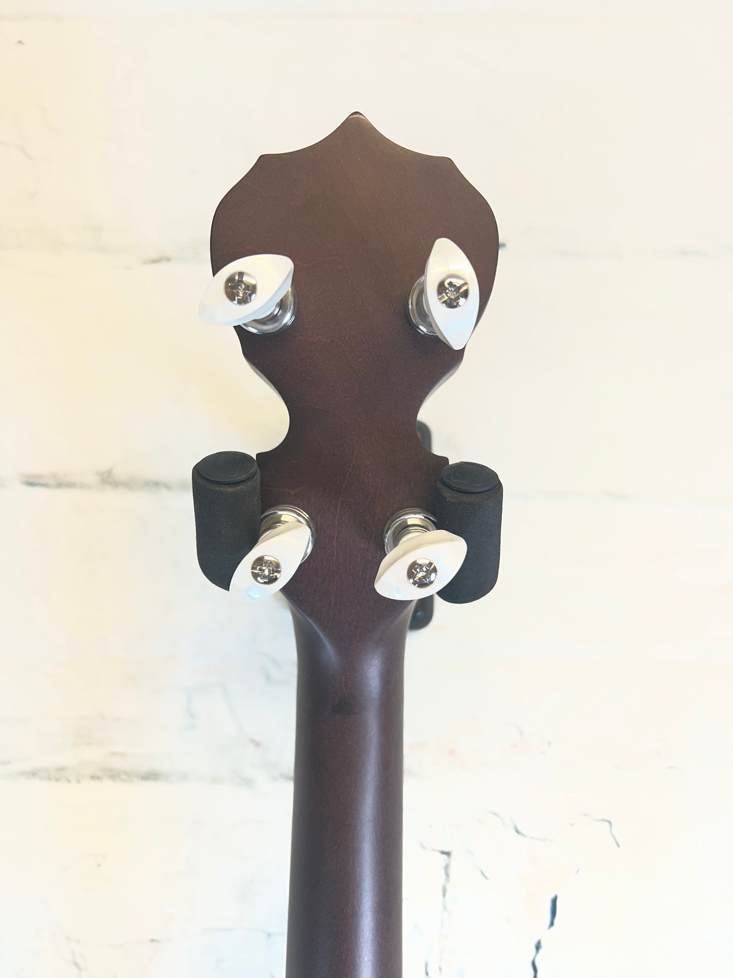 Deering Artisan Goodtime Special 5-String Banjo
