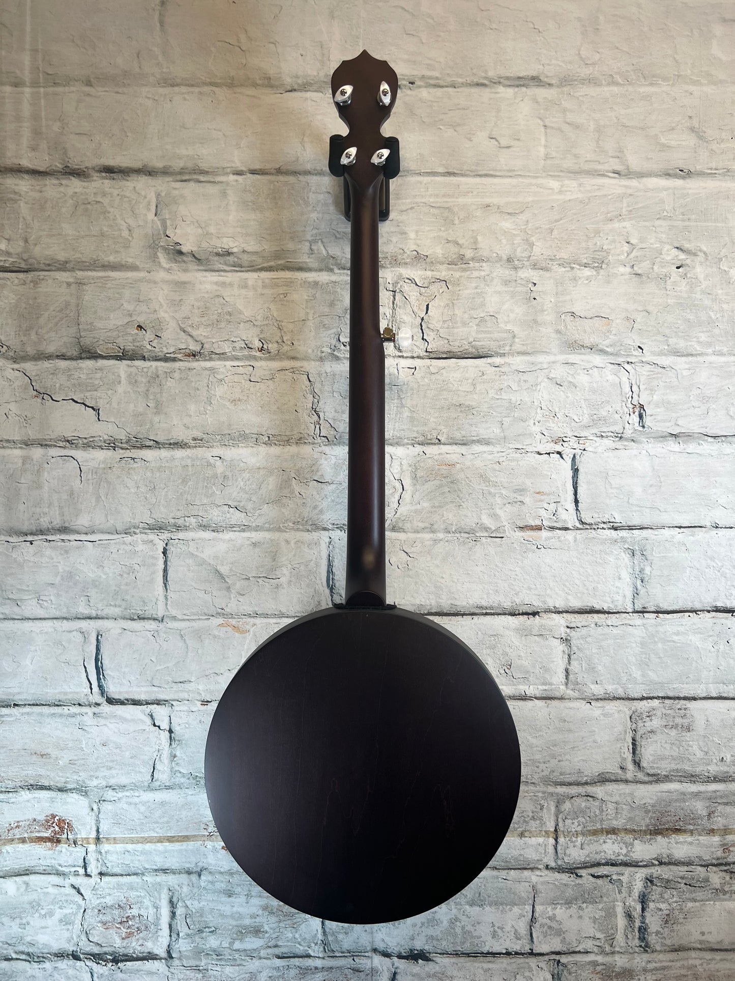 Deering Artisan Goodtime Special 5-String Banjo