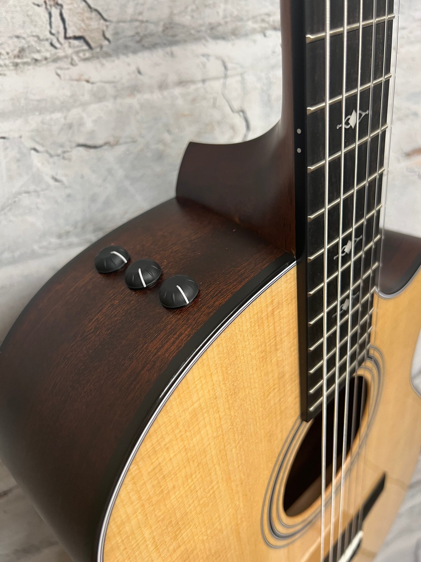Taylor 314ce-N Nylon Acoustic Electric Guitar Natural Sitka Spruce with Hardshell Case