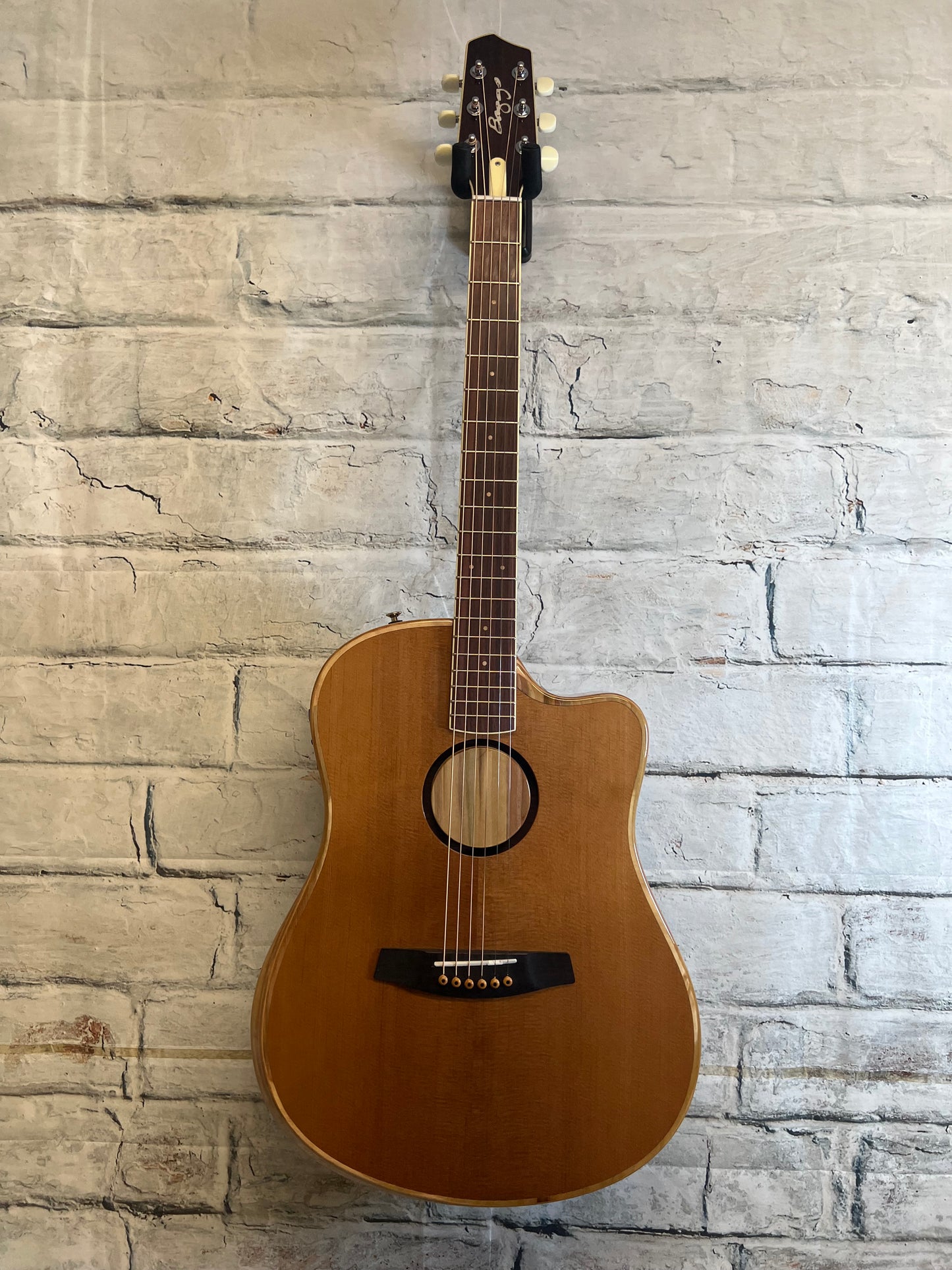 Used L.R. Baggs AEG-1 Acoustic-Electric Guitar with Bag