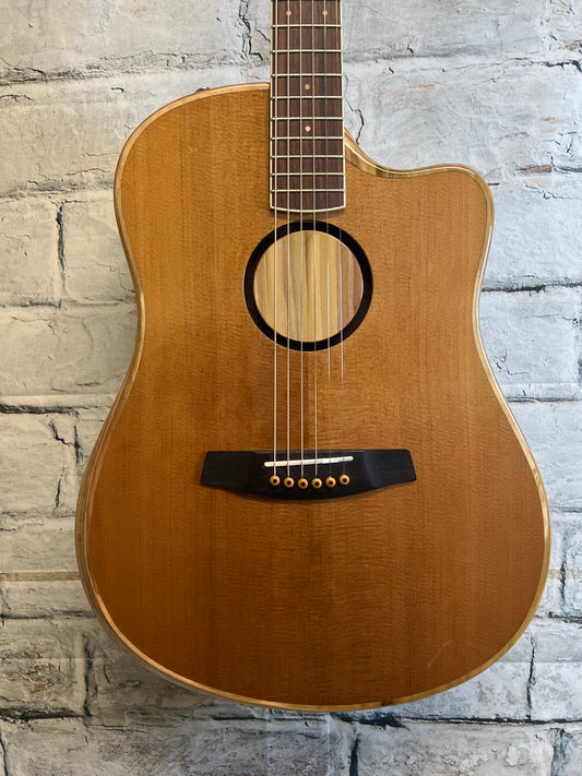 Used L.R. Baggs AEG-1 Acoustic-Electric Guitar with Bag