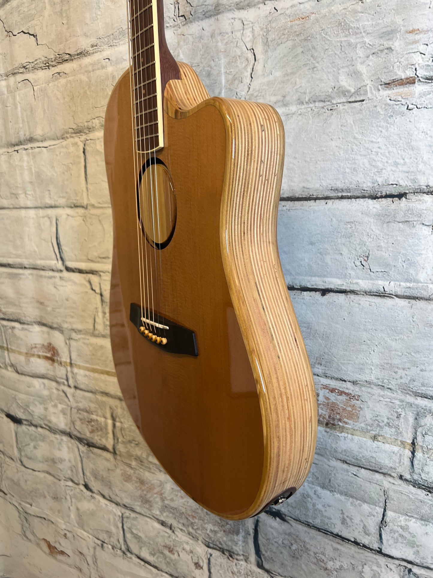 Used L.R. Baggs AEG-1 Acoustic-Electric Guitar with Bag