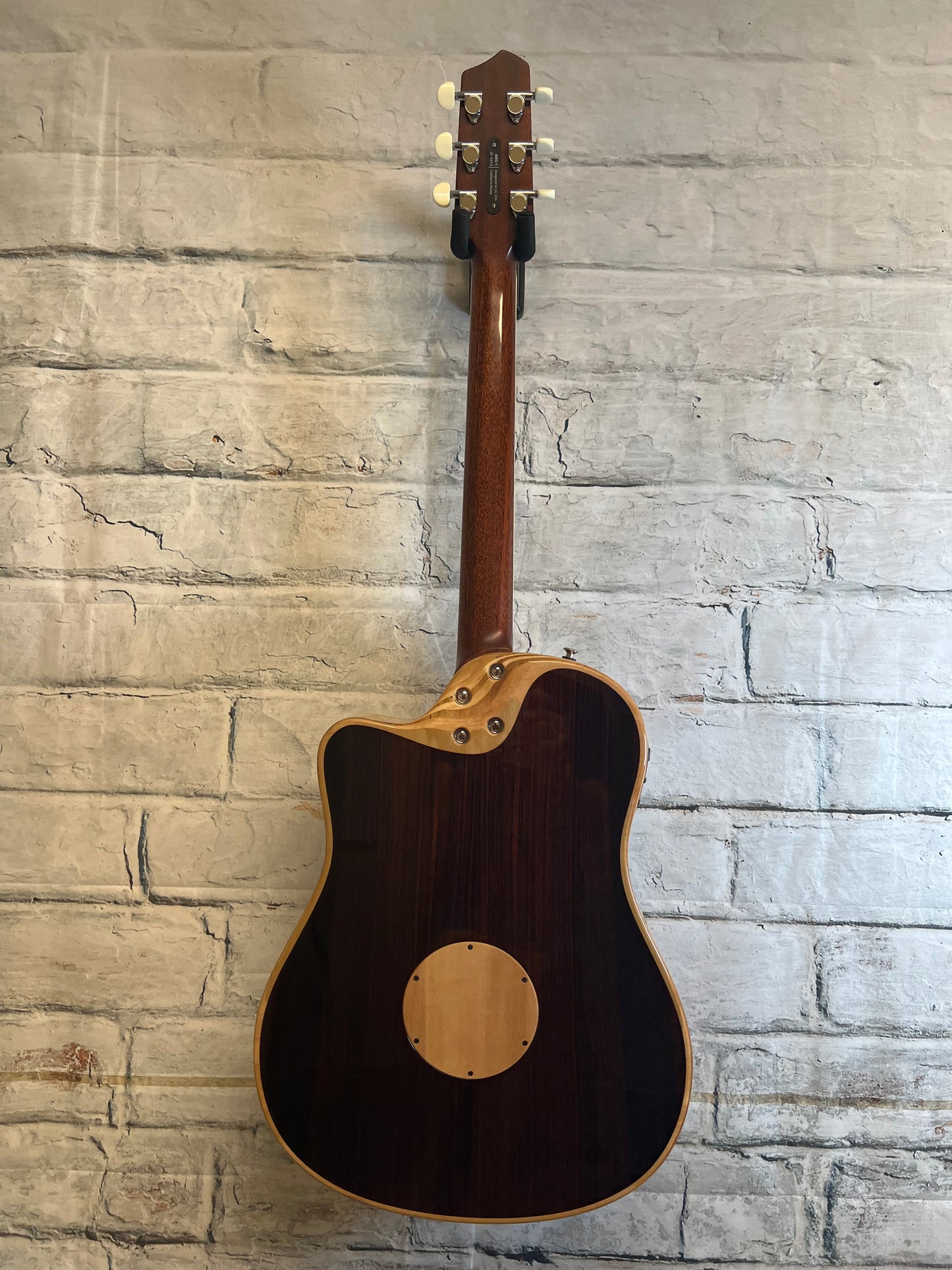 Used L.R. Baggs AEG-1 Acoustic-Electric Guitar with Bag