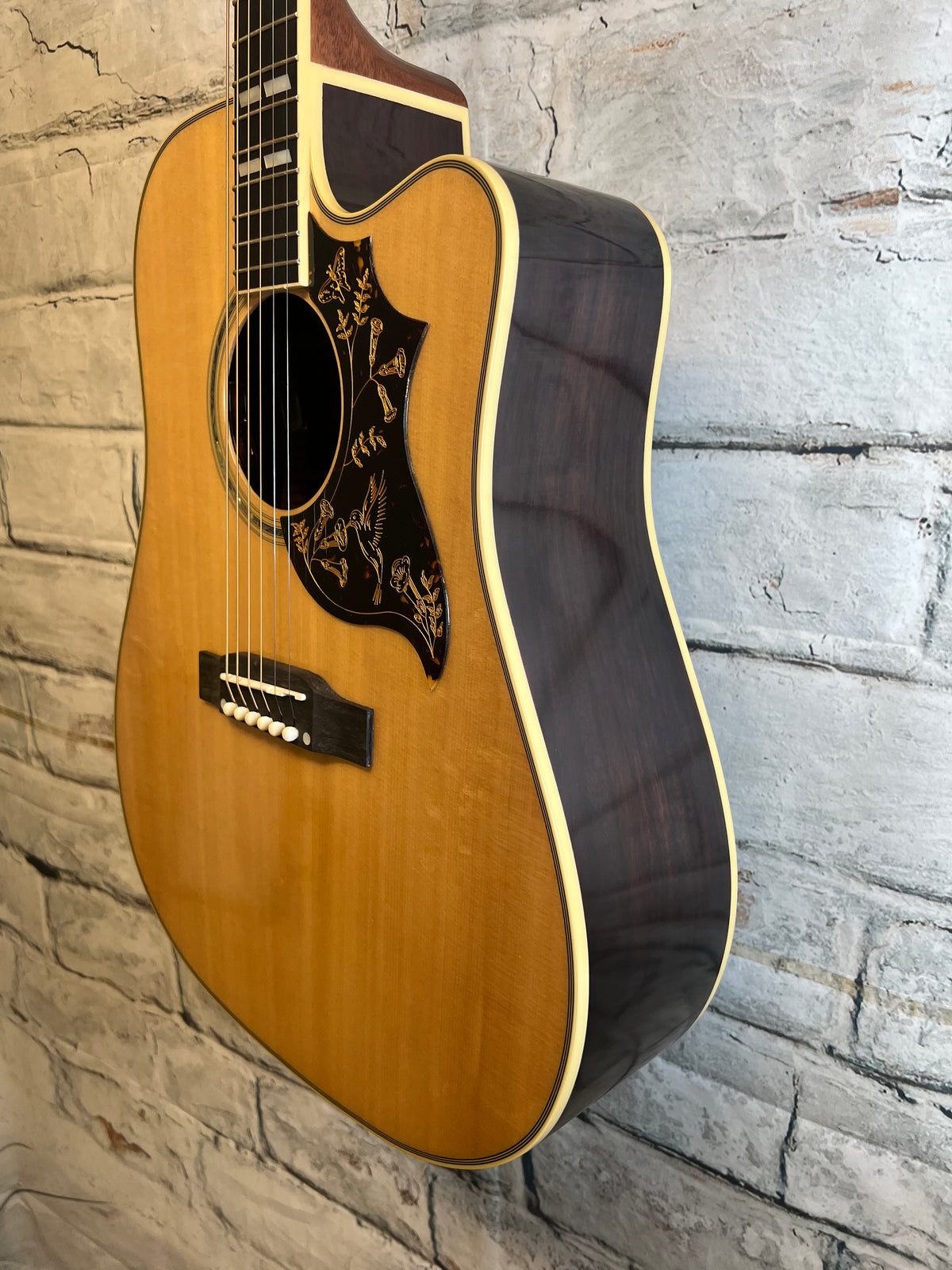 Epiphone Hummingbird Deluxe EC Natural with Deluxe Bag