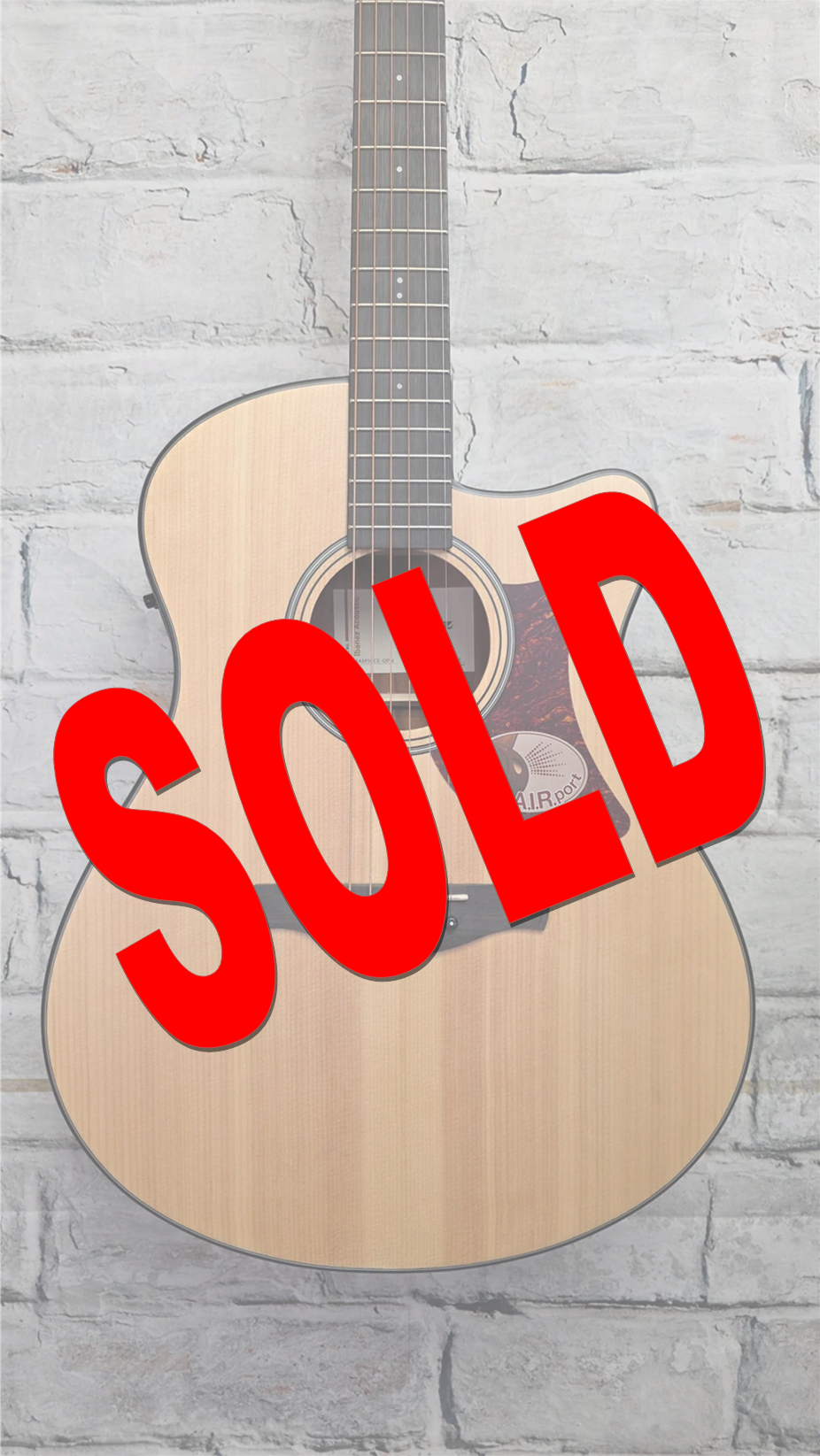 Ibanez AAM50CE Advanced Acoustic Auditorium Acoustic-Electric - Open Pore Natural